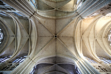 Religion and spirituality. Catholic church.