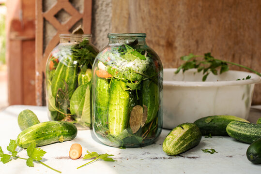 Preparation of canned cucumbers or fermented cucumbers in glass jars. Ingredients for pickling cucumbers. Cucumbers, dill, garlic. Glass jars with pickles. Processing of the autumn harvest. 