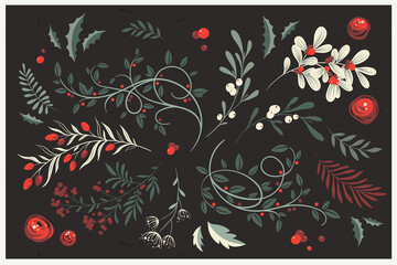 Winter foliage. Whimsical vector collection of Christmas floral arrangements and plants, branches and berries. Decorative botanical elements for holiday and wedding design, greeting cards, invitations