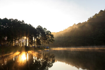 The beautiful morning with beams of sunlight pierce through the forest with morning fog over water at PangUng Lake in Mae Hong Son, north of Thailand.