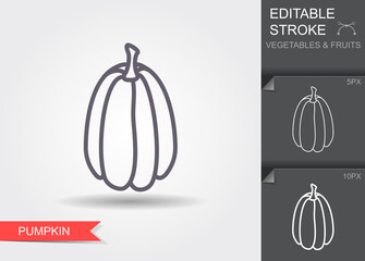 Pumpkin. Line icon with editable stroke with shadow