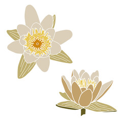 Water lily flower silhouette set. Isoalted on white background.