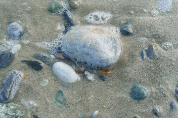 Tropical beach textures - natural shapes, water, sand, rocks, flowing, bubbles, colors, shapes, patterns, nature, environment