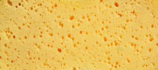 Beautiful sponge texture image