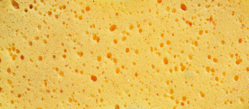 Sponge Texture Images Browse 331 Stock Photos Vectors And Video Adobe Stock