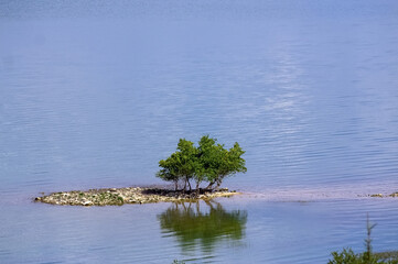 Samotne drzewka na małej wysepce laguna z drzewkami