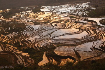 雲南省・元陽 多依樹の朝日に染まる棚田