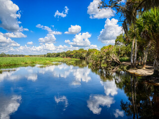 Obraz na płótnie Canvas Blue sky with white clouds over Myakka River in Myakka River State Park in Sarasota Florida USA