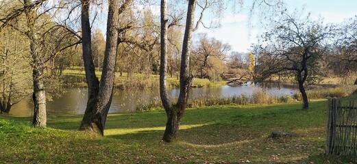 Fototapeta na wymiar Park in autumn 