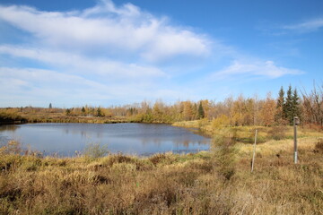 Fototapeta na wymiar Haze Of Clouds, Pylypow Wetlands, Edmonton, Alberta