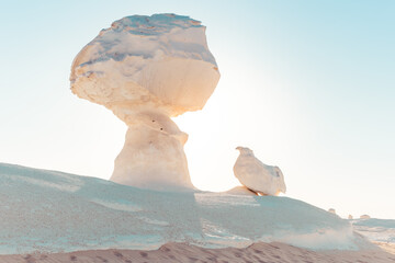 Desert Dunes and Beauty