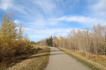 Fototapeta na wymiar Octobers Path, Pylypow Wetlands, Edmonton, Alberta