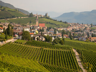 Caldaro, strada del Vino, South Tyrol