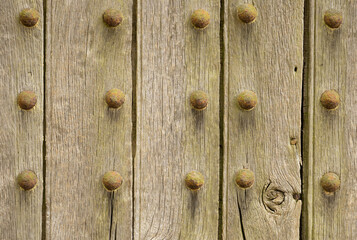 very old wood texture