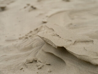 Wet sand with shell at beach coastline texture background.summer concept
