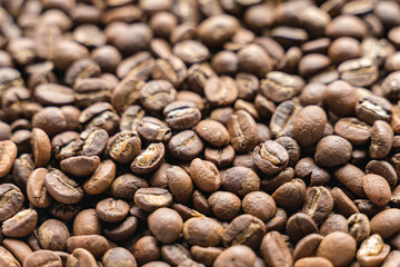 Roasted coffee bean