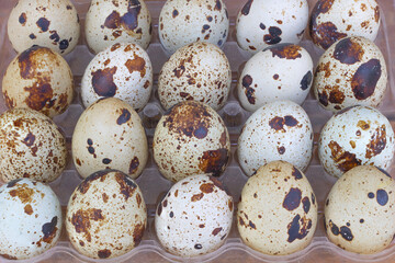 Fresh quail eggs natural product textured close up