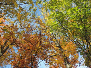 Les Plaines d'Abraham de Québec