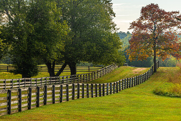 Old country road with fences on either side and colorful tree during the fall