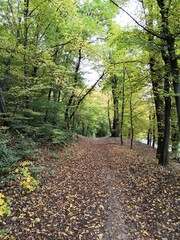 Obraz premium Herbst in Nordhausen