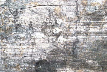 Wall texture