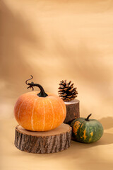 Autumn pumpkins on a wooden podiums. Autumn Halloween concept, vertical photo with free space for...