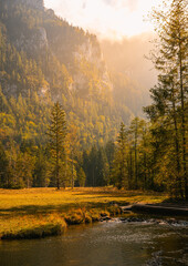 Bayen Chiemgau Alpen