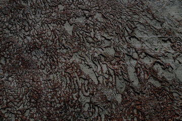 texture of the stone