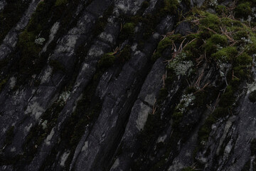 moss stone background