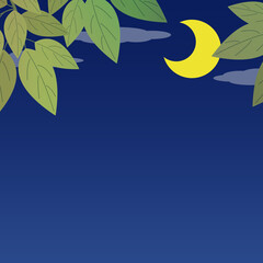 Fototapeta premium 葉っぱと三日月の背景 正方形 グリーン