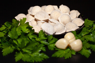 Delicious turkey dumplings. Fresh meat dumplings with spices. Organic delicious titanium meat