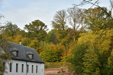 Beauté de la forêt de Soignes vue depuis les bâtiments de l'abbaye du Rouge-Cloître à Auderghem