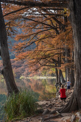 Landscapes of Texas Hill Country in the fall, autumn, season changing, outdoors, river, camping - obrazy, fototapety, plakaty
