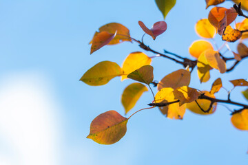 Landscapes of Texas Hill Country in the fall, autumn, season changing, outdoors, river, camping