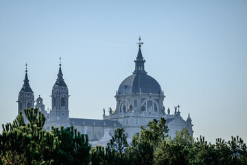 Naklejka premium Cathedral elevated among the treetops