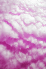 Fluffy White Clouds with a Pink Sky View