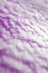 Fototapeta na wymiar Fluffy White Clouds with a Pink Sky View