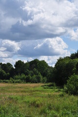 Obraz premium Landscape. View of a clearing with green grass and trees. Clouds over the forest.