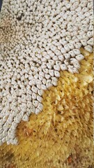 stone pavement texture