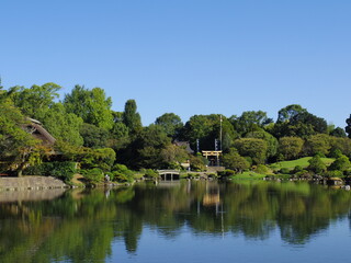 Fototapeta premium 水前寺成趣園湧水池(熊本県熊本市)