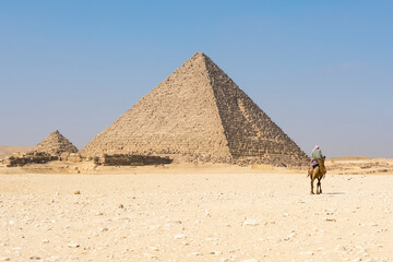 Fototapeta na wymiar Nomad on a camel in the complex of pyramids of Giza, Egypt