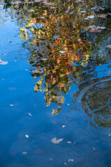 Landscapes of Texas Hill Country in the fall, autumn, season changing, outdoors, river, camping