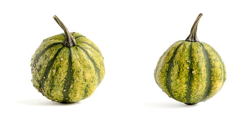 Decorative pumpkin of green color isolate on a white background