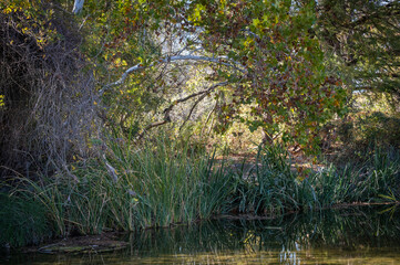Landscapes of Texas Hill Country in the fall, autumn, season changing, outdoors, river, camping
