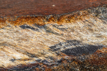 Macro mineral stone Snake eye in the rock a white background