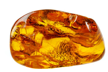 Macro Amber mineral stone with spider on white background