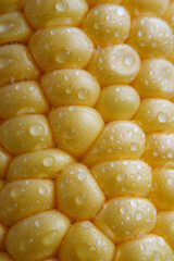 texture of yellow juicy tasty corn