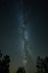 Milky Way with trees in the foreground. Dark night in Sweden