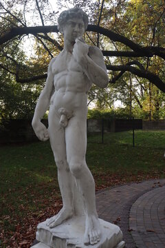 male genitals close up statue of apollo