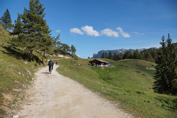 Fototapeta na wymiar MTB-Tour/Wanderung bei Kufstein: Brentenjochalm